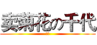 卖菊花の千代 (傻逼)