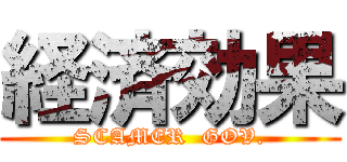 経済効果 (SCAMER  GOV.)