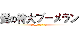 髭の特大ブーメラン (attack on titan)