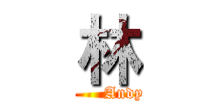 林 (      Andy)