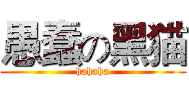 愚蠢の黑猫 (hahaha)