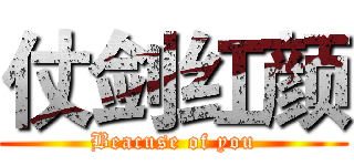 仗剑红颜 (Beacuse of you)