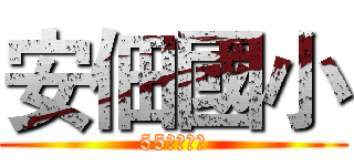 安佃國小 (55屆畢業生)