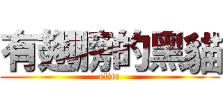 有翅膀的黑貓 (elite)