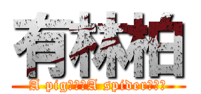 有林柏 (A pig???A spider???)
