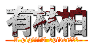 有林柏 (A pig???A spider???)