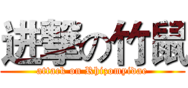 进撃の竹鼠 (attack on Rhizomyidae)
