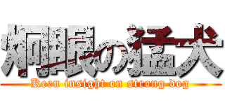 炯眼の猛犬 (Keen insight on strong dog)