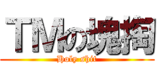 ＴＭの塊掏 (Holy shit)