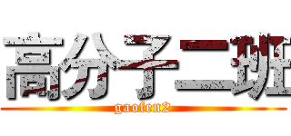 高分子二班 (gaofen2)