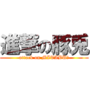 進撃の豚兎 (attack on MITABUー)