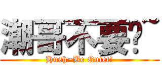 潮哥不要啦~ (Hush~Be Quiet!)