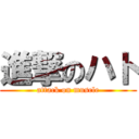 進撃のハト (attack on muscle)