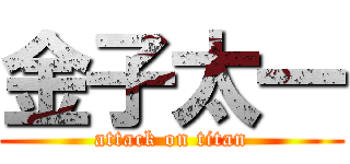 金子太一 (attack on titan)