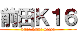 前田Ｋ１６ (kuro kami seiso)
