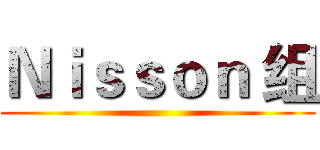 Ｎｉｓｓｏｎ 组 ()