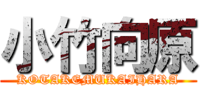 小竹向原 (KOTAKEMUKAIHARA)