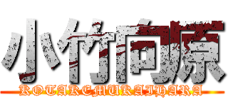 小竹向原 (KOTAKEMUKAIHARA)