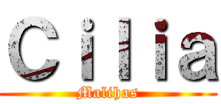 Ｃｉｌｉａ (Malihas)