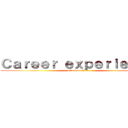 Ｃａｒｅｅｒ ｅｘｐｅｒｉｅｎｃｅ (attack on titan)