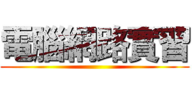 電腦網路實習 ()