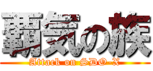 覇気の族 (Attack on SDO-X)