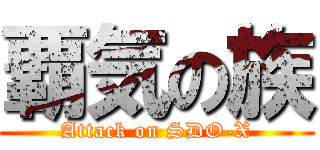 覇気の族 (Attack on SDO-X)