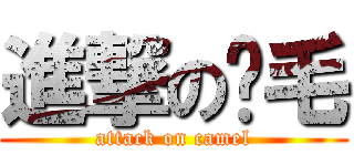 進撃の卡毛 (attack on camel)
