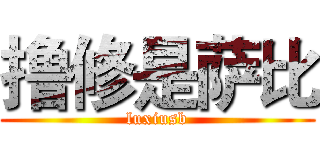 撸修是萨比 (luxiusb)