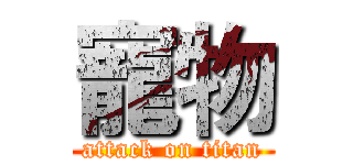 寵物 (attack on titan)