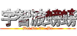 宇智波螃螃 (Bai Du Tie Ba)