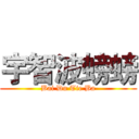 宇智波螃螃 (Bai Du Tie Ba)