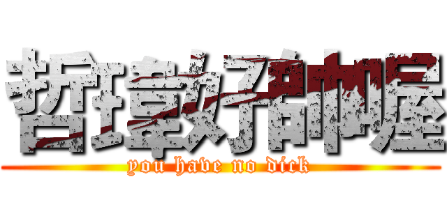哲瑋好帥喔 (you have no dick)