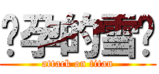 怀孕的雪婷 (attack on titan)