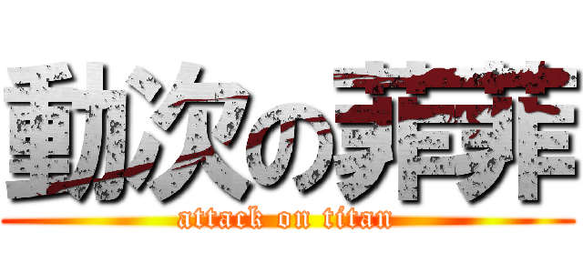 動次の菲菲 (attack on titan)
