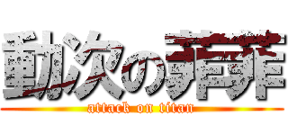 動次の菲菲 (attack on titan)