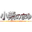 小柴のまゆ (koshiba on mayu)