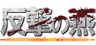 反撃の燕 (counterattack on swallows)
