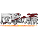 反撃の燕 (counterattack on swallows)