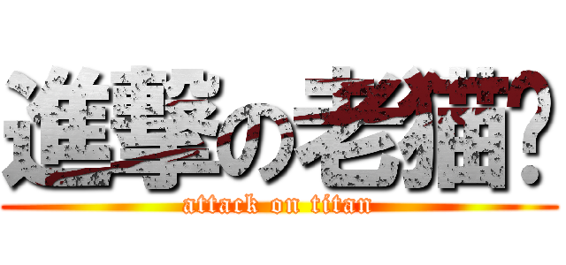 進撃の老猫咪 (attack on titan)
