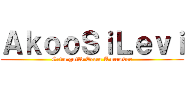 ＡｋｏｏＳｉＬｅｖｉ (Grim guild Team A member)