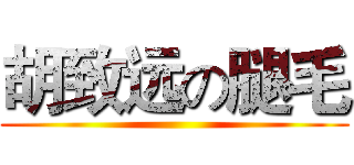 胡致远の腿毛 ()