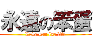 永遠の笨蛋 (Love you for life)