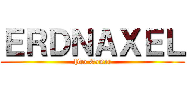 ＥＲＤＮＡＸＥＬ (Pro Gamer)