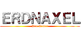 ＥＲＤＮＡＸＥＬ (Pro Gamer)
