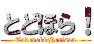 とどほら！ (Todoroki Horison)