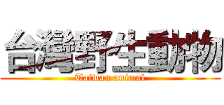 台灣野生動物 (Taiwan animal)