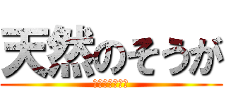 天然のそうが (きみ、面白いよ)