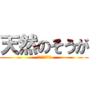 天然のそうが (きみ、面白いよ)