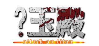 喵玉殿 (attack on titan)